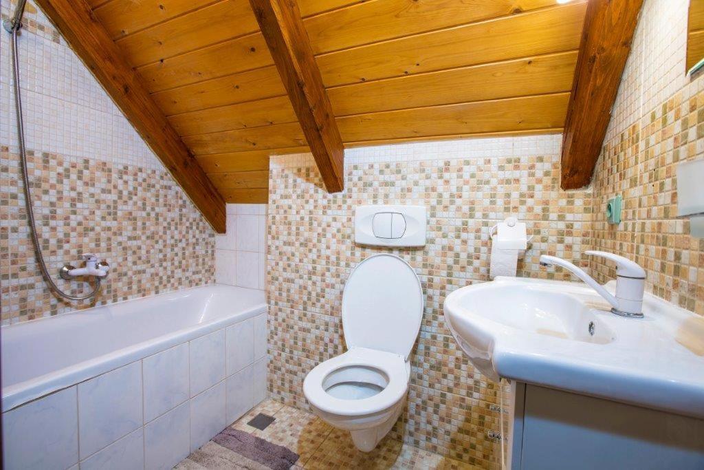 Pension Roky Rokytnice nad Jizerou Dış mekan fotoğraf
